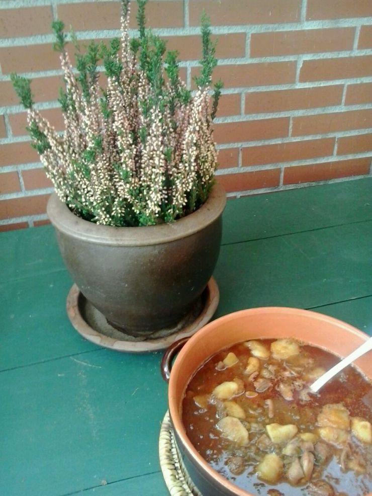 bd1edb74612766b9b92d28bfb2dfaeec