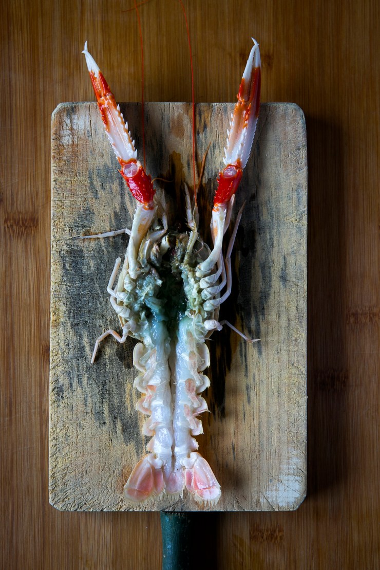 171141217 ©mercedesblanco