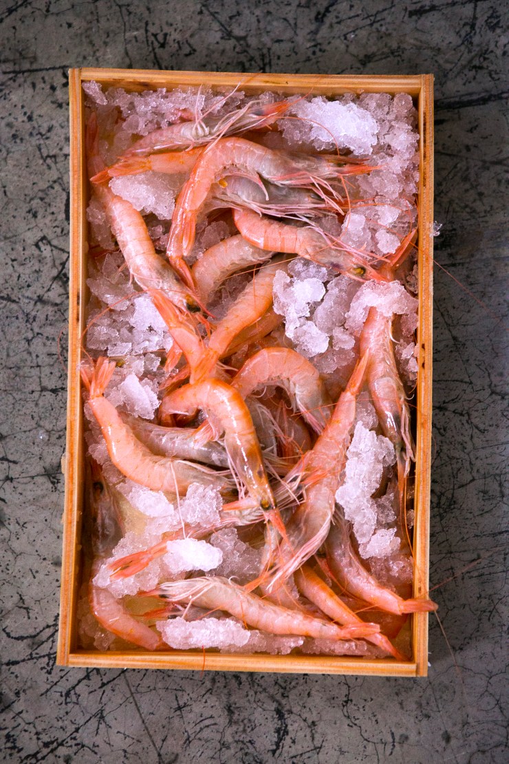 25141217 ©mercedesblanco