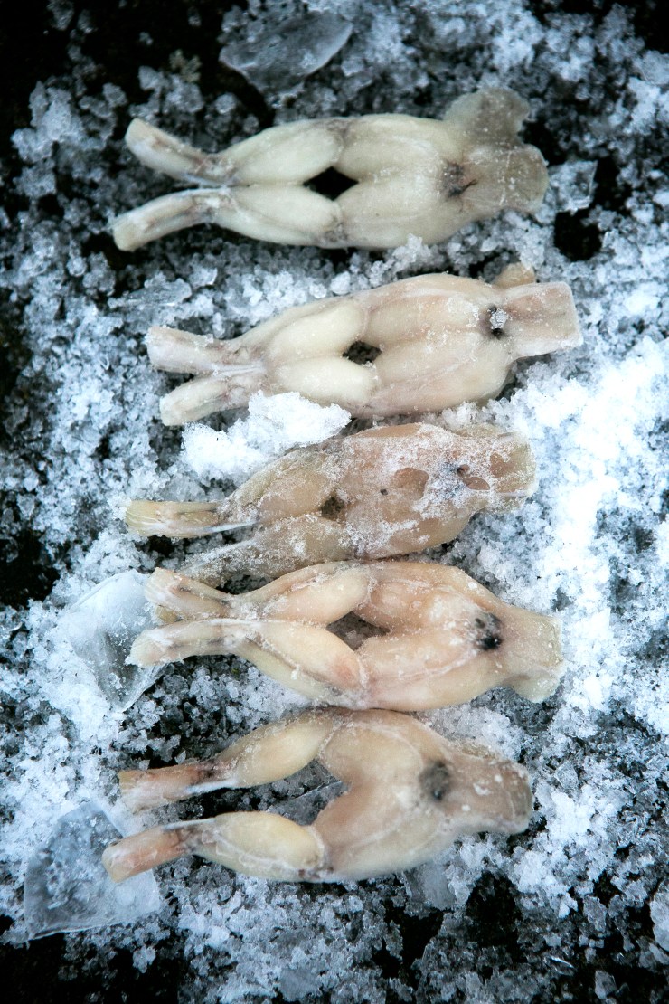 60218©mercedesblanco (2)