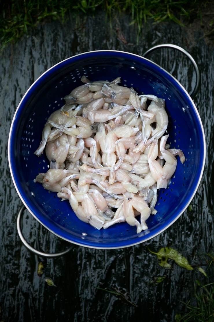 70218©mercedesblanco (1)