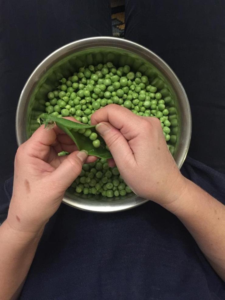 b2c70e3b-4445-4319-b4b0-d777001c30f8