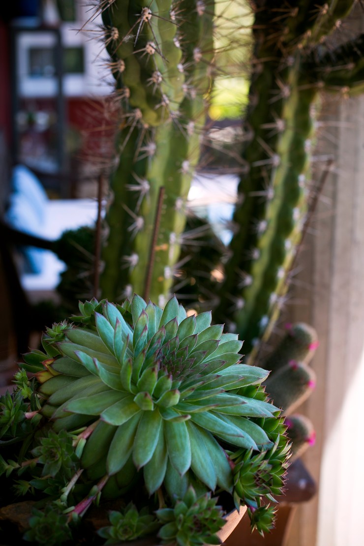 470620©mercedesblanco